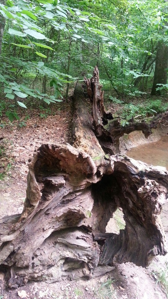 Salem, VA Map & Directions MapQuest