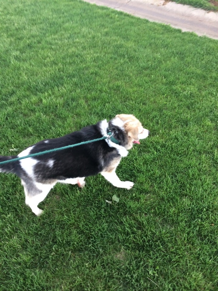 Platteville, CO Map & Directions MapQuest