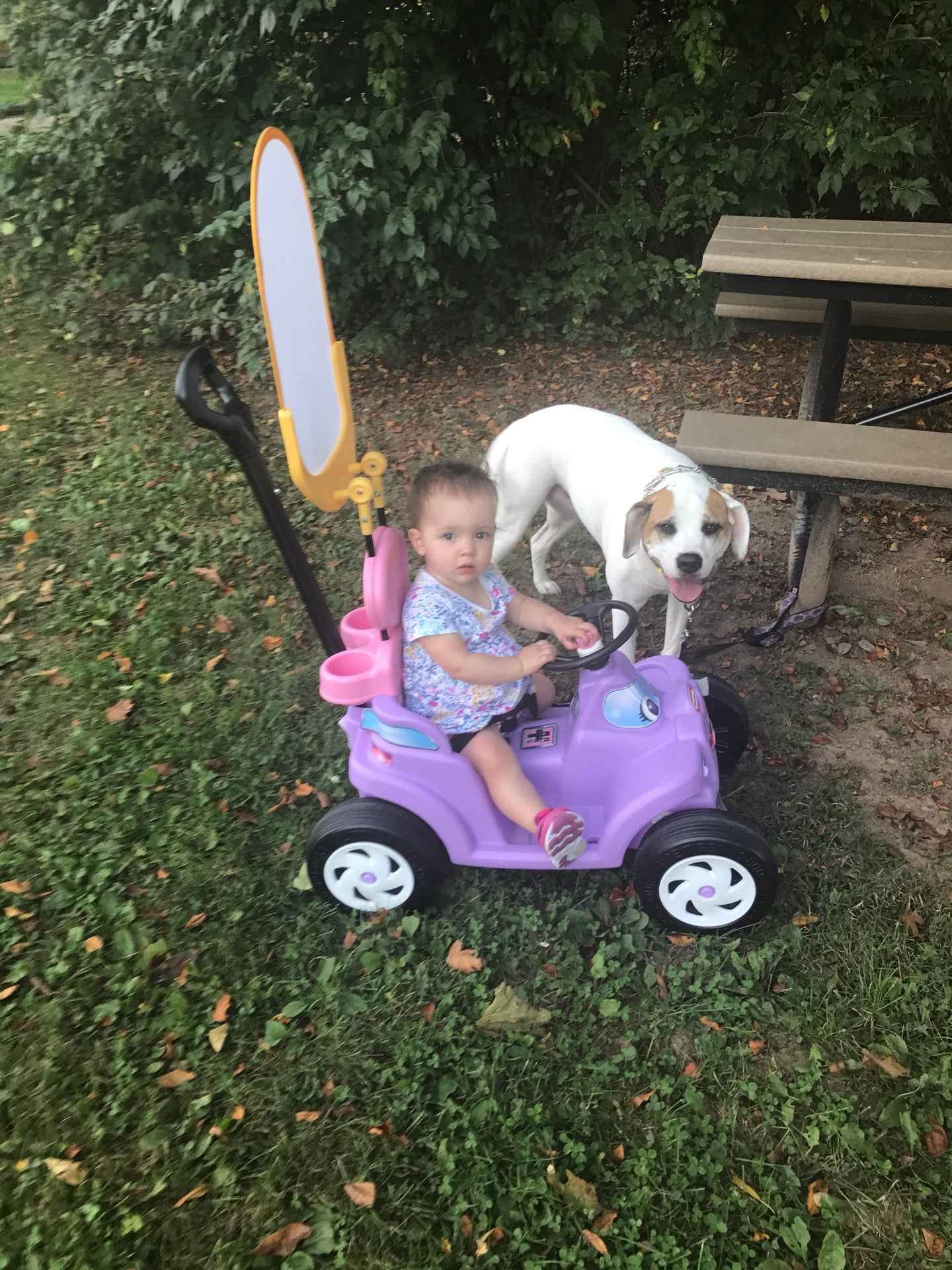 PenAmbler Park, 716 Pen Ambler Rd, Lower Gwynedd Twp, PA MapQuest