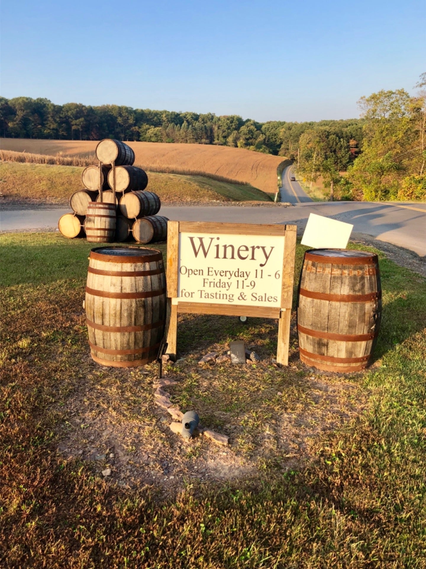 blue-ridge-estate-vineyard-winery-239-blue-ridge-rd-saylorsburg-pa
