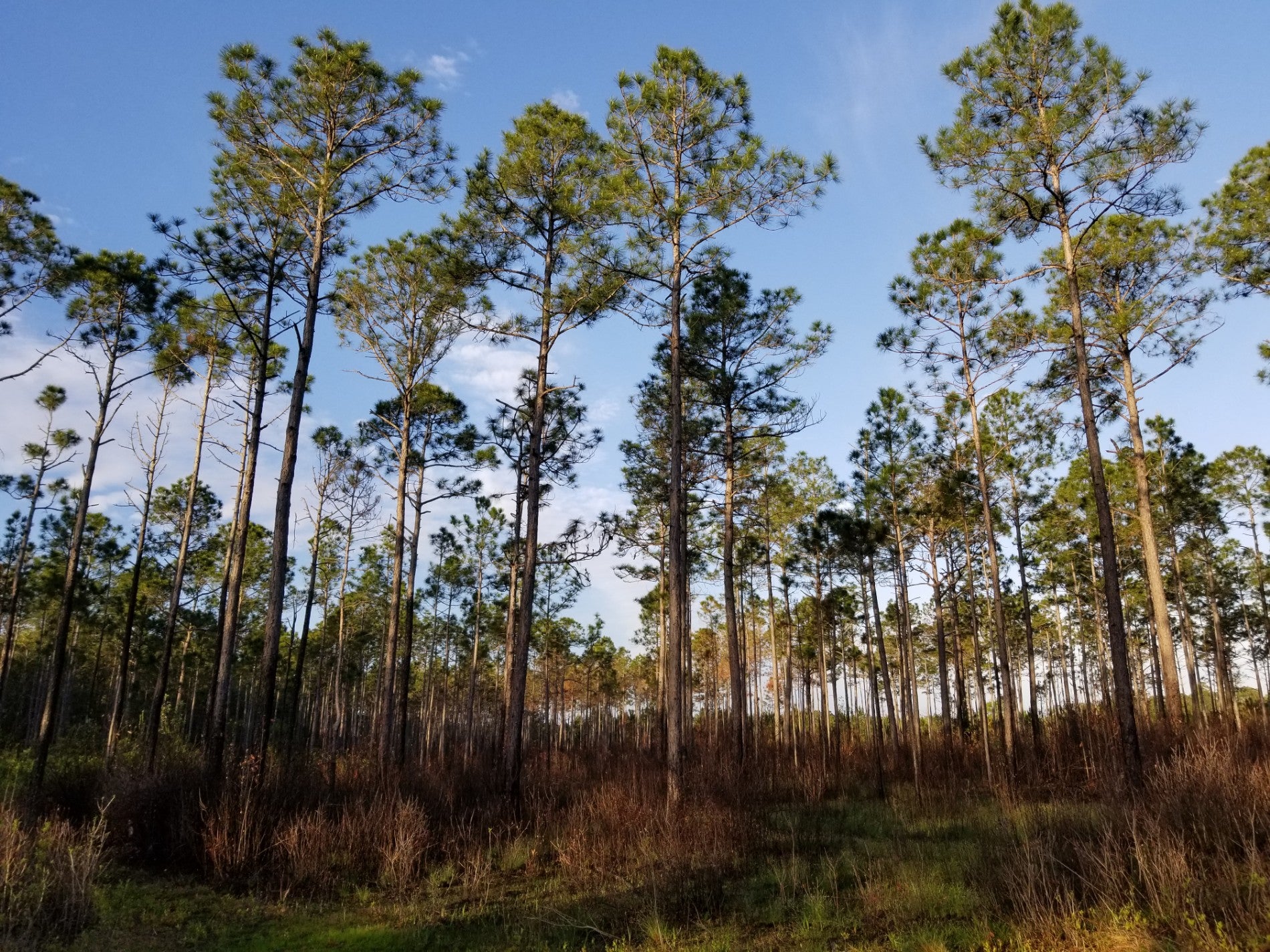 Elberta, AL Map & Directions MapQuest