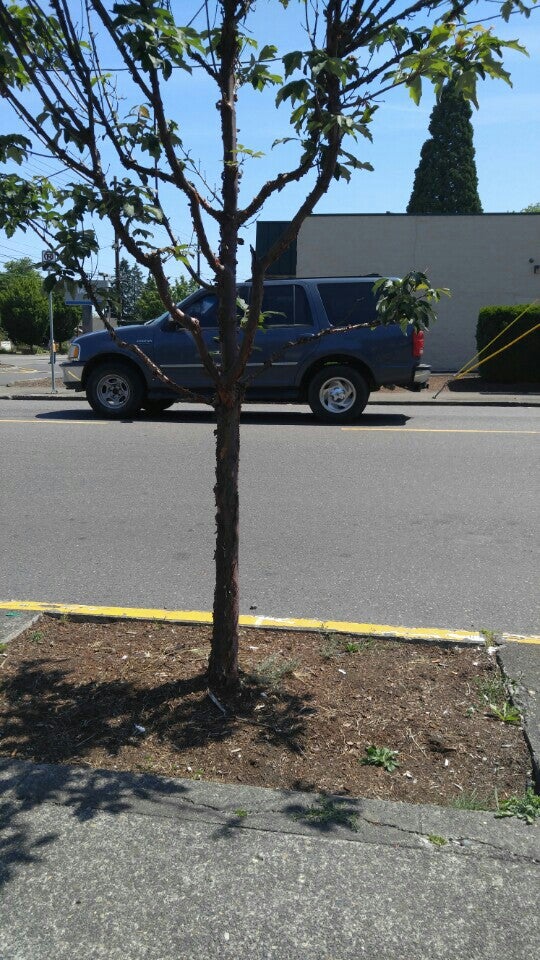 TriMet Stop ID 2213, N Lombard St, Portland, OR, Bus Lines MapQuest