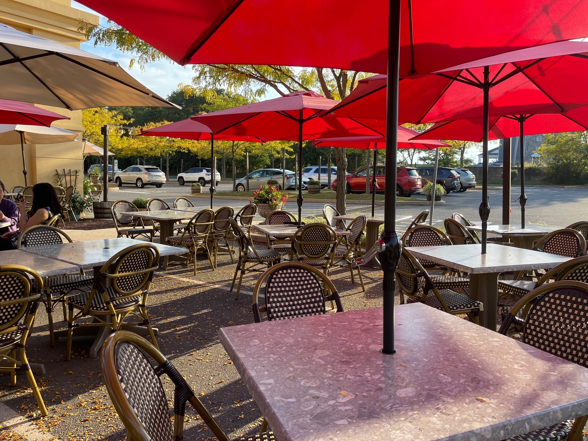 La Fava Restaurant and Bar, 1102 Baltimore Pike, Ste 101, Glen Mills