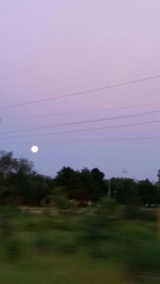 Tustin, MI Map & Directions MapQuest