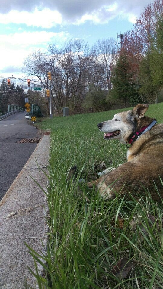 Ed Tuxhorn Municipal Park, Bloomsbury, NJ, Parks MapQuest