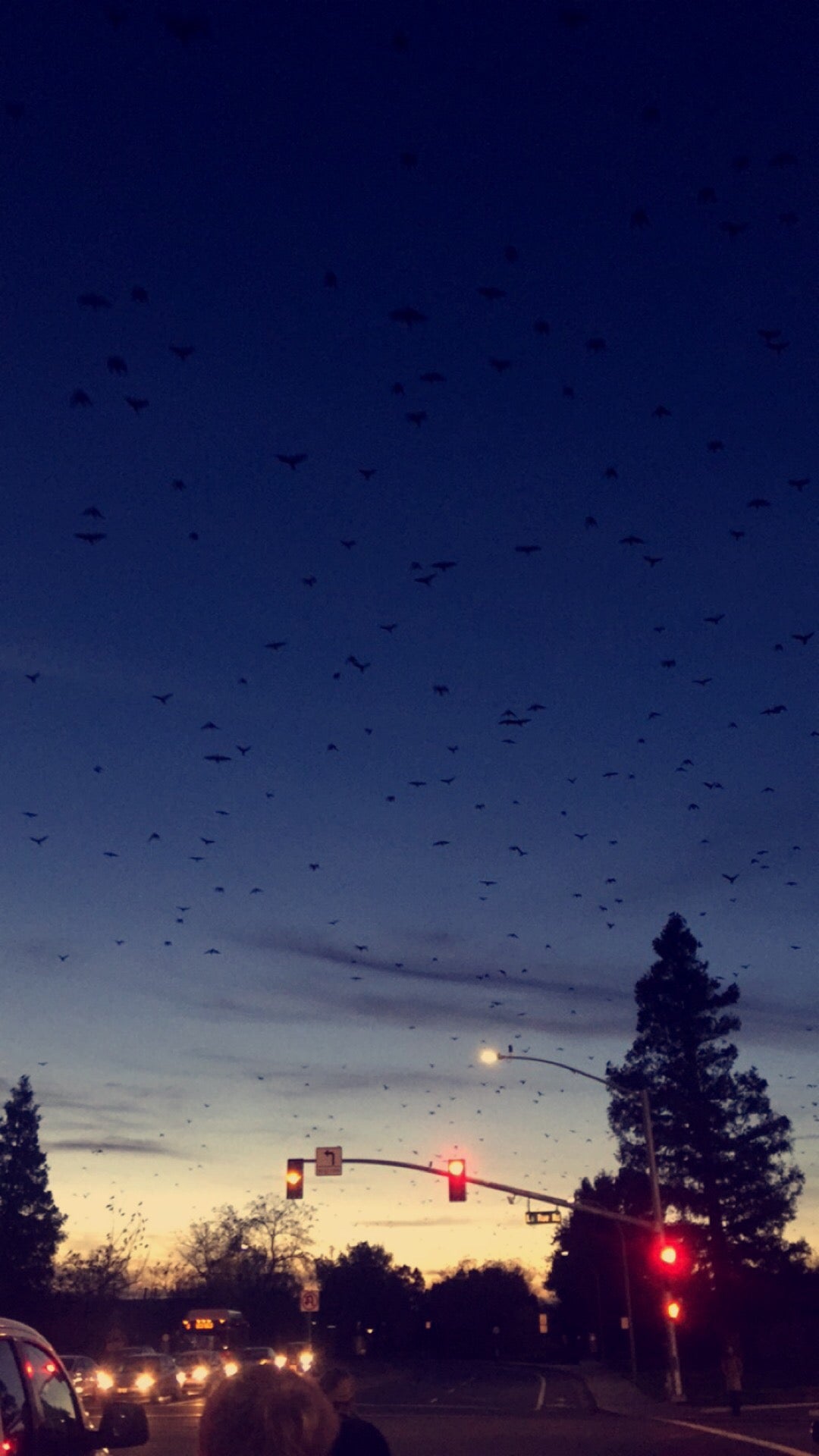 La Rue Field, Russell Blvd, Davis, CA MapQuest