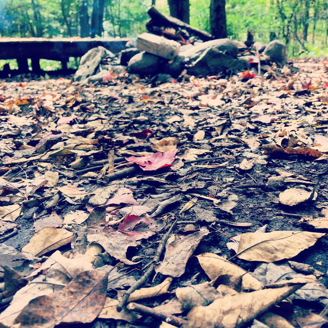 Clymer, NY Map & Directions MapQuest