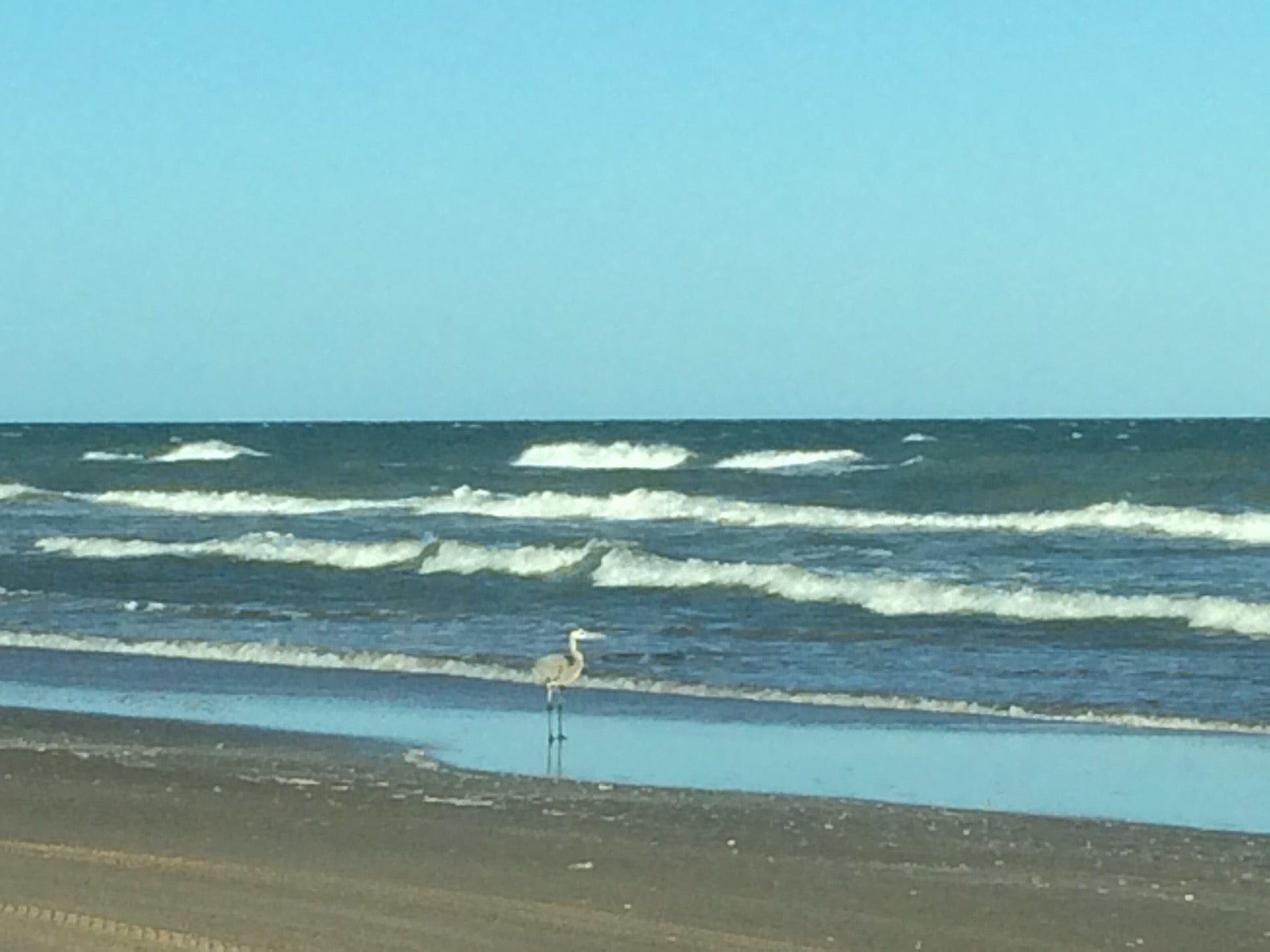Boca Chica Beach, Boca Chica Hwy, Brownsville, TX MapQuest