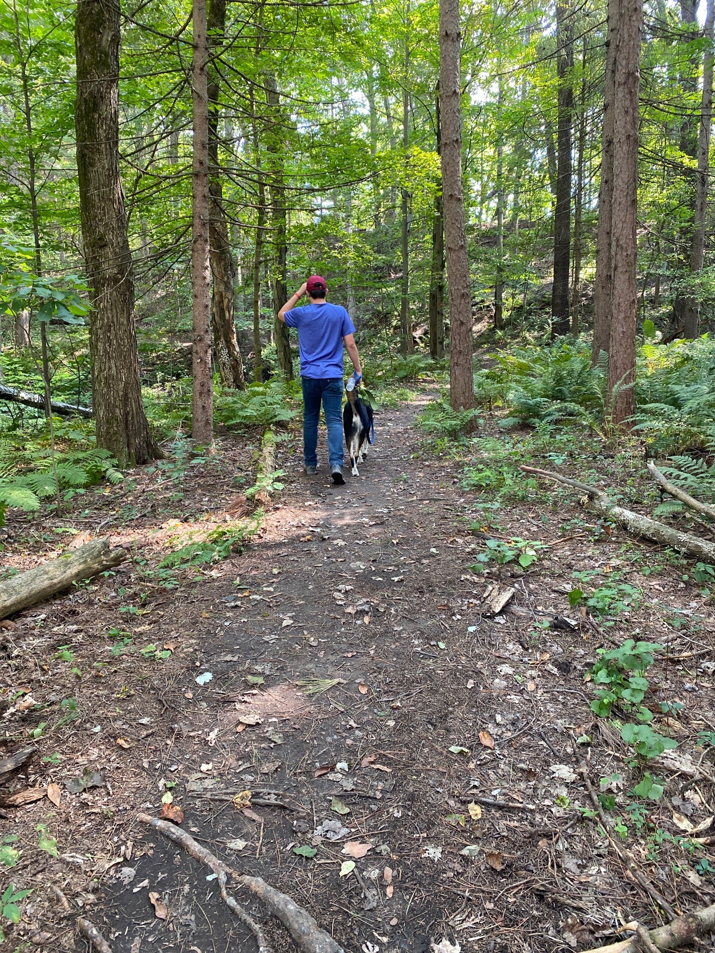 Indian Kill Nature Preserve, 59 Hetcheltown Rd, Schenectady, NY, Trail ...