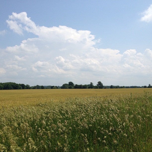 Elwood, IL Map & Directions MapQuest