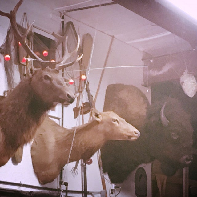 Lorimor, IA Map & Directions MapQuest