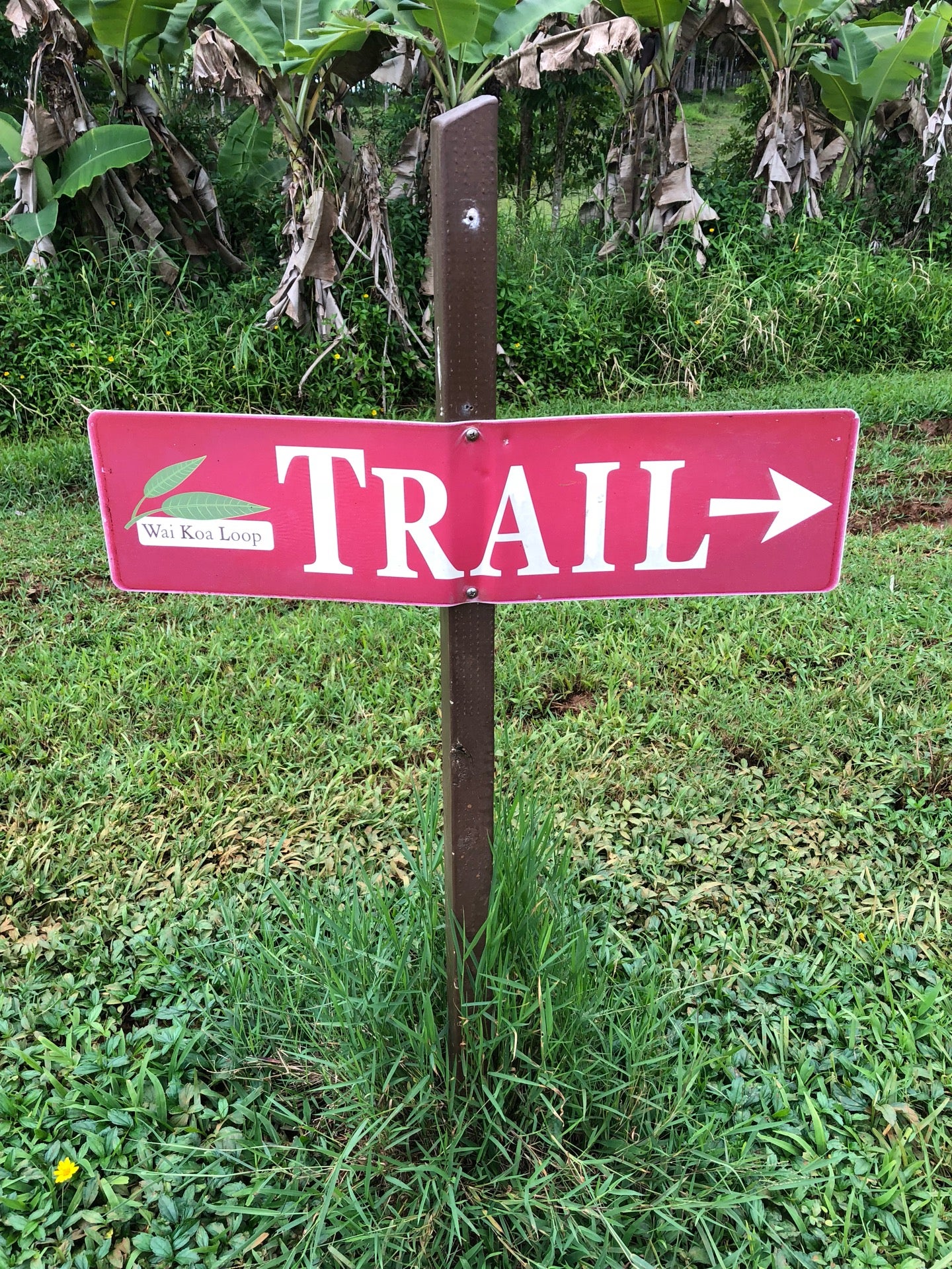 Wai Koa Loop Trail - efg27rs