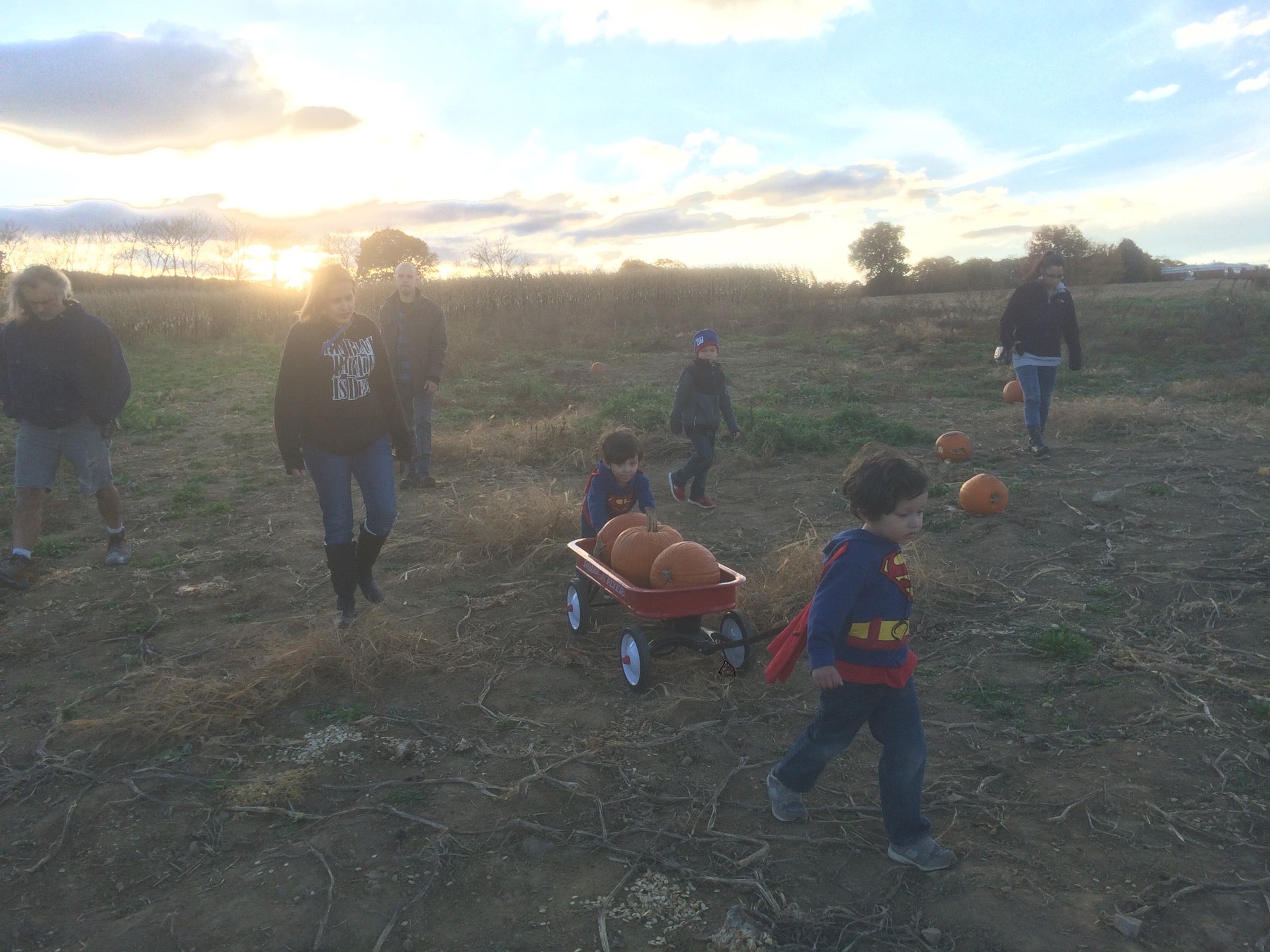 Glen Gardner, NJ Map & Directions MapQuest