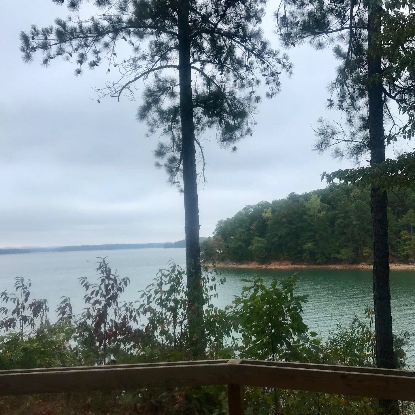 Lake Lanier buford park beach, Buford, GA, Beach MapQuest
