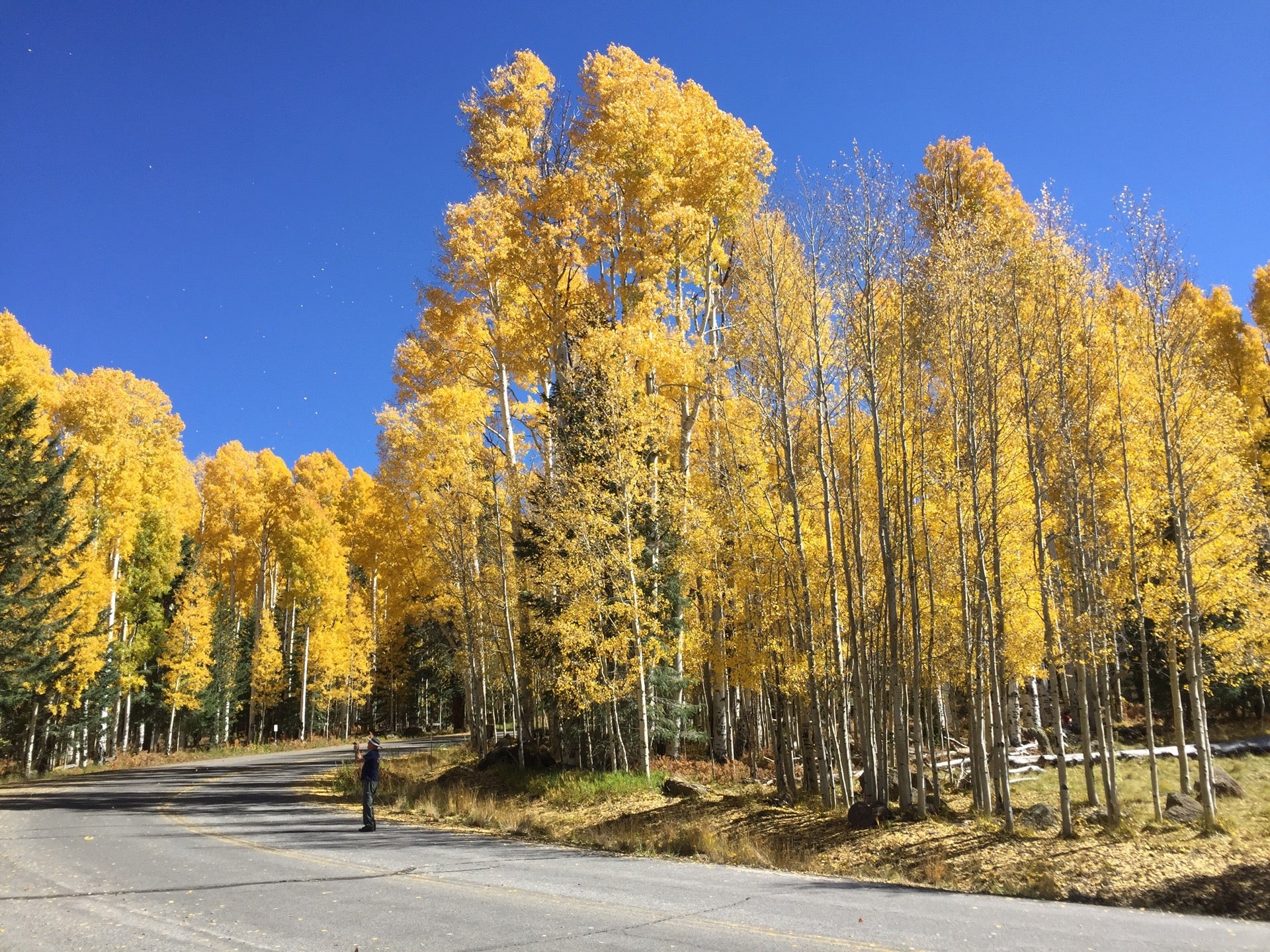 Aspen Corner, Flagstaff, AZ, Trail MapQuest
