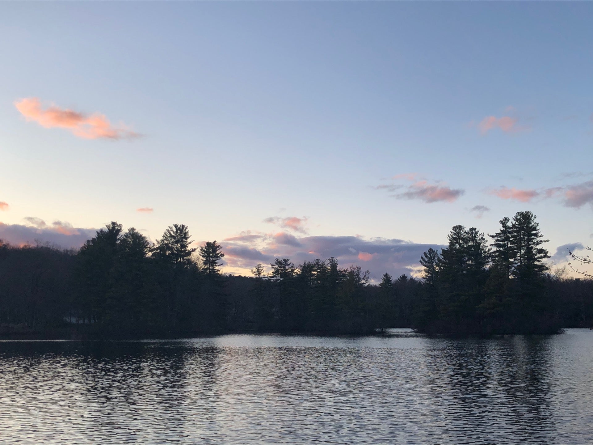 Cook Pond, Olean St, Worcester, MA 01602, US MapQuest