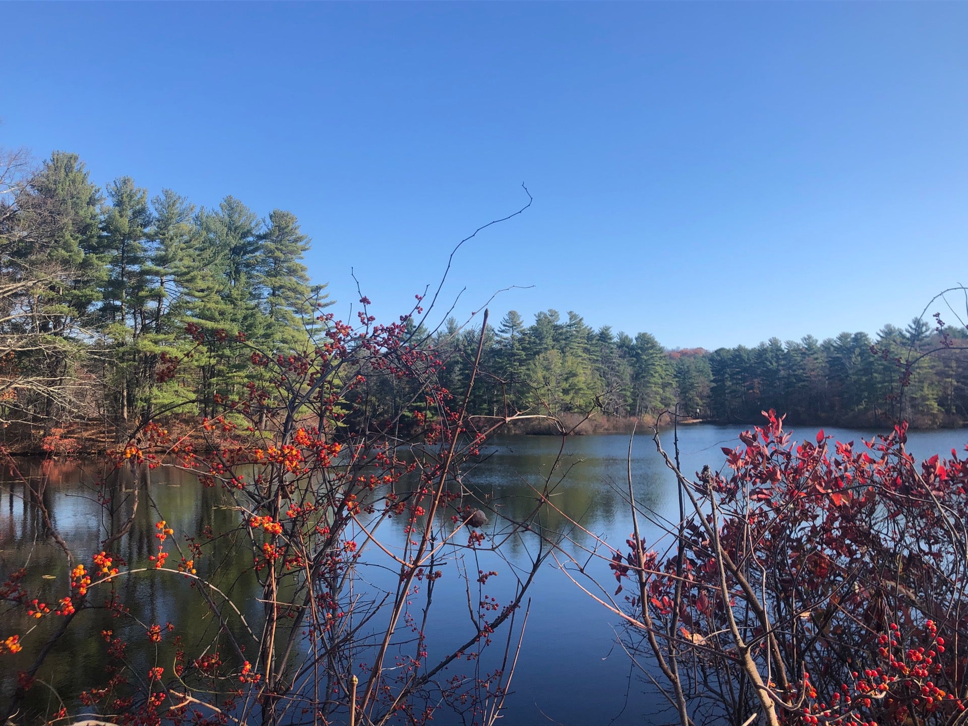 Cook Pond, Worcester, MA MapQuest