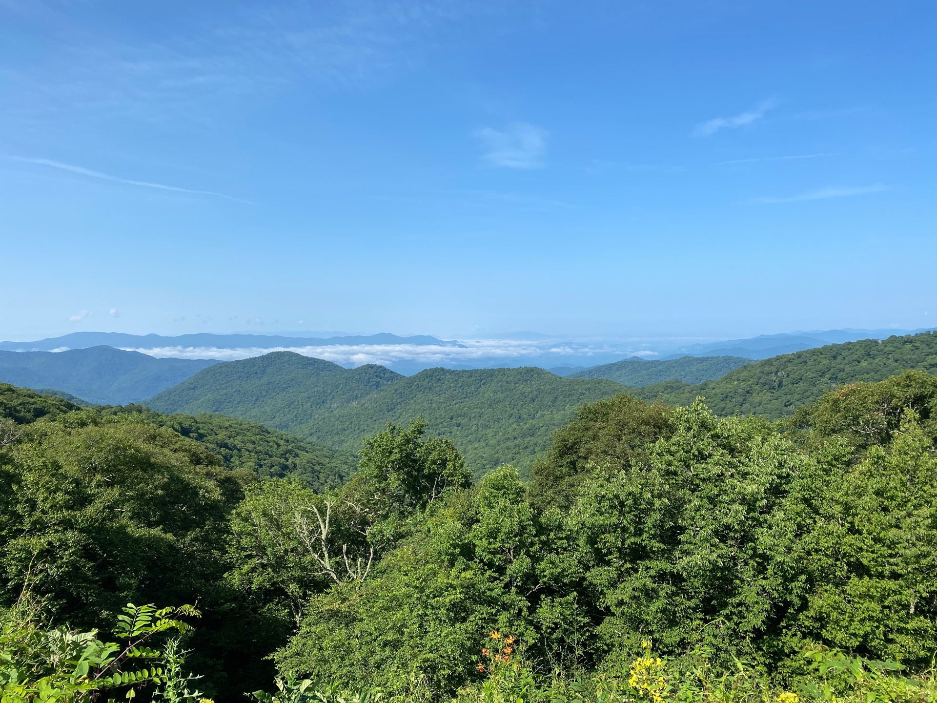 Browning Knob Overlook, Browning Knob Overlook, Sylva, NC, Landmark