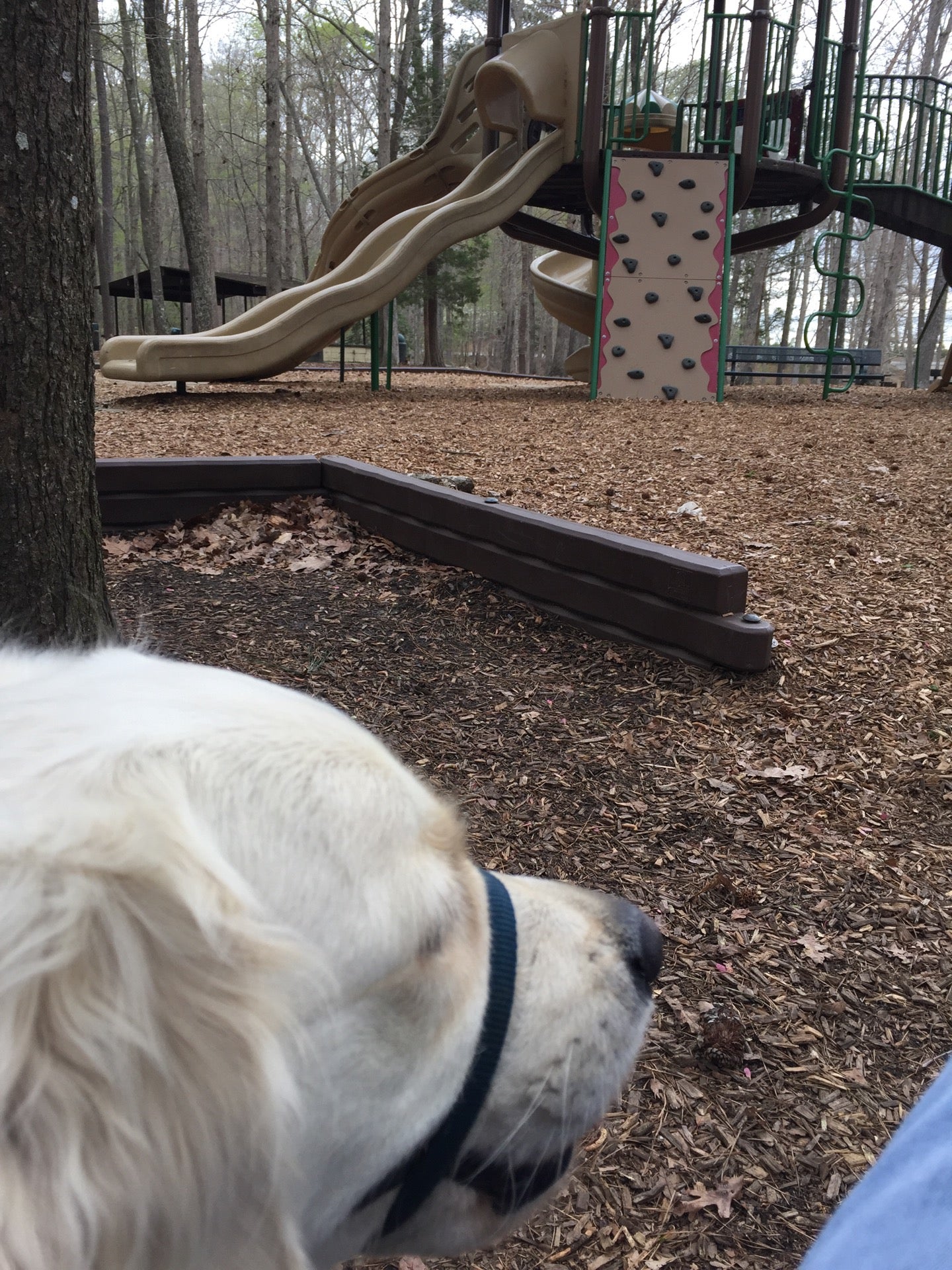 Nn park playground 2 newport news va mapquest