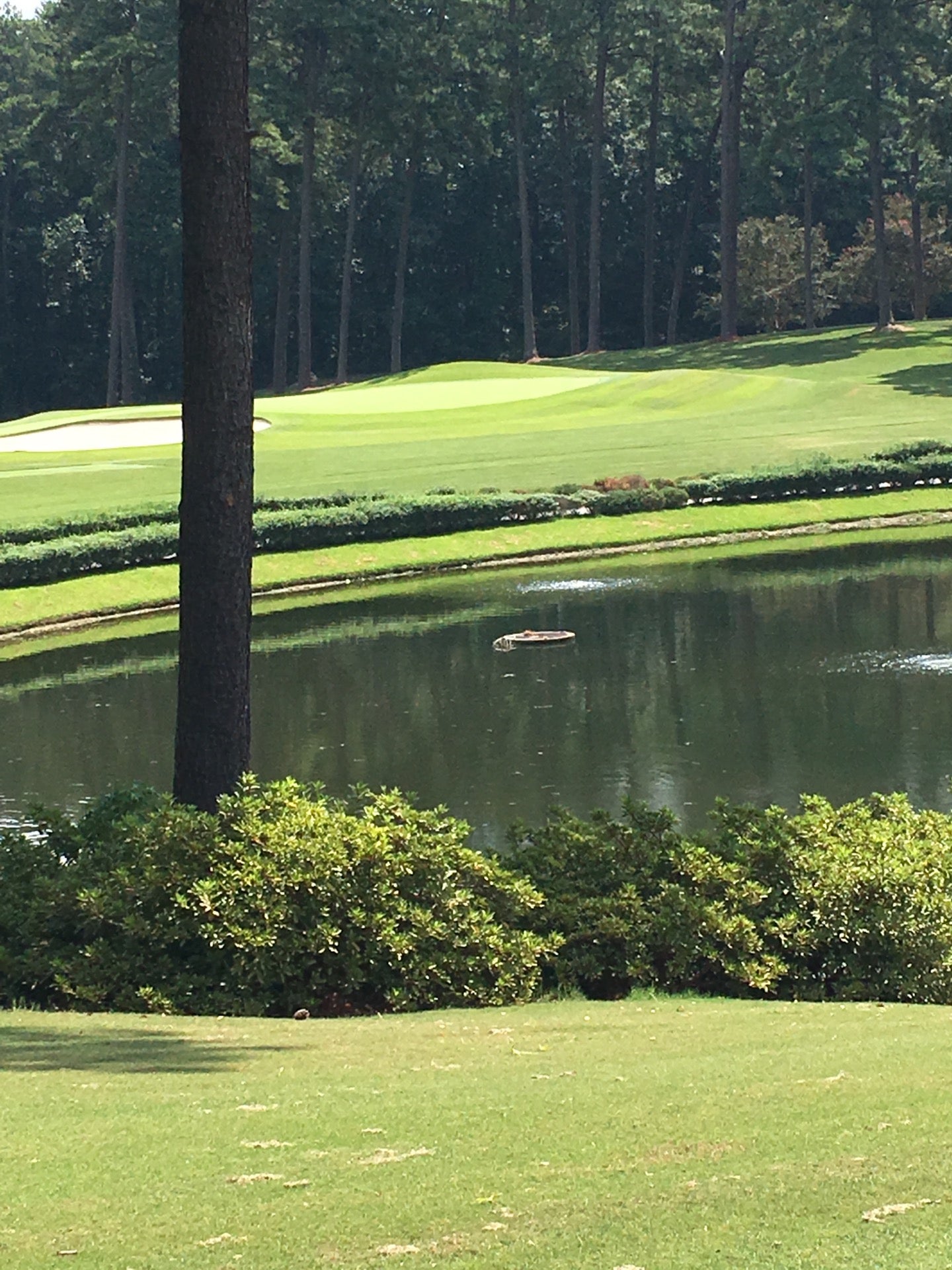 Peachtree Golf Club, 4600 Peachtree Rd NE, Atlanta, GA MapQuest Peachtree Golf Club, 4600 Peachtree Rd NE, Atlanta, GA MapQuest