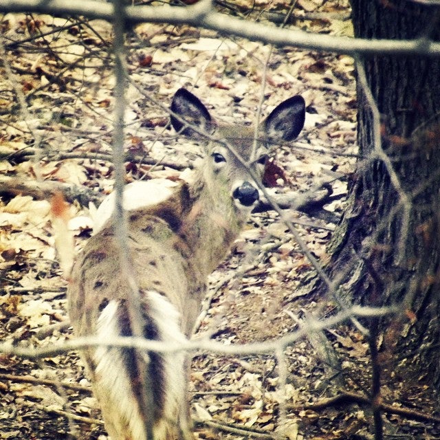 Lagrangeville, NY Map & Directions MapQuest