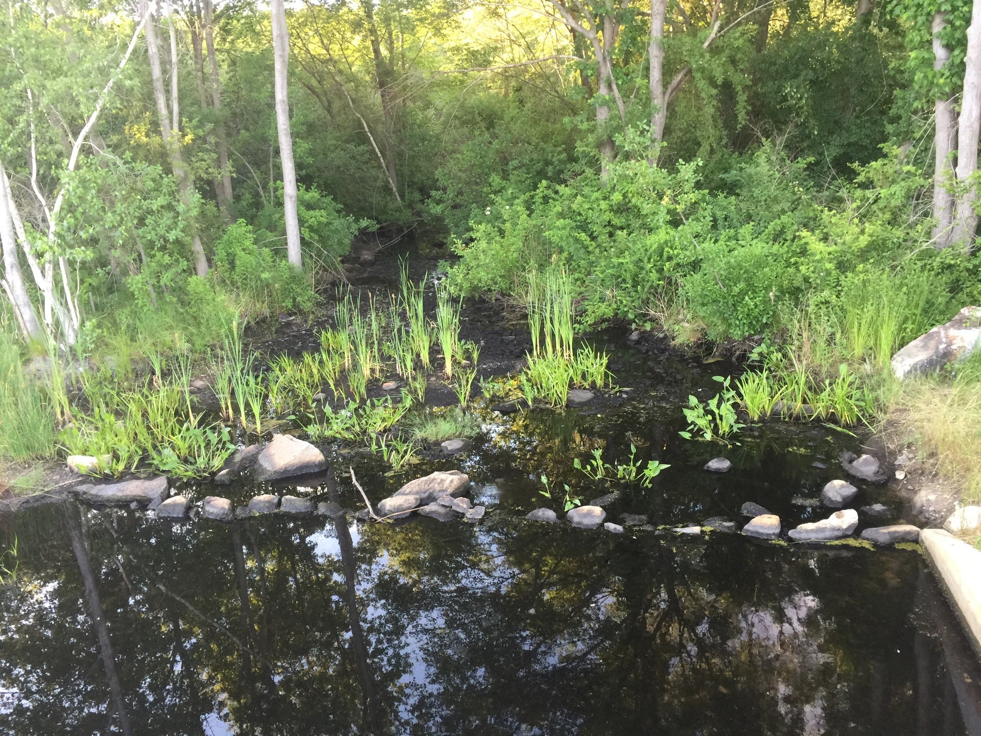 Randolph, MA Map & Directions MapQuest