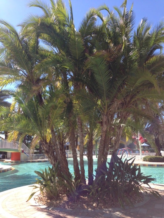 Sandoval Lagoon Pool, 2573 Sandoval Pkwy, Cape Coral, FL, Swimming