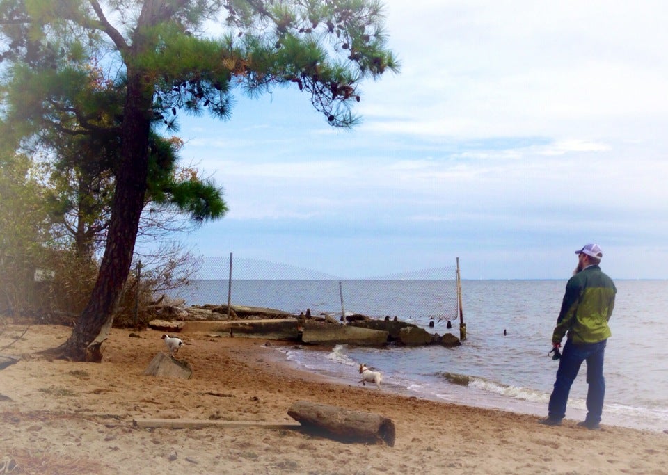 Downs Park and Dog Beach, 8311 John Downs Loop, Pasadena, MD, Parks MapQuest