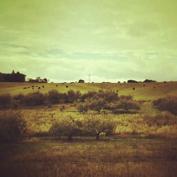 Appleberry Farm, 2402 W Main St, Marshalltown, IA, Farm Markets MapQuest