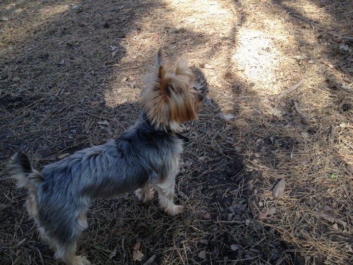 Midland, MI Map & Directions MapQuest