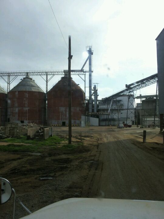 delta oil mill        
        <figure class=