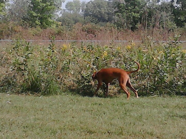 Suamico, WI Map & Directions MapQuest