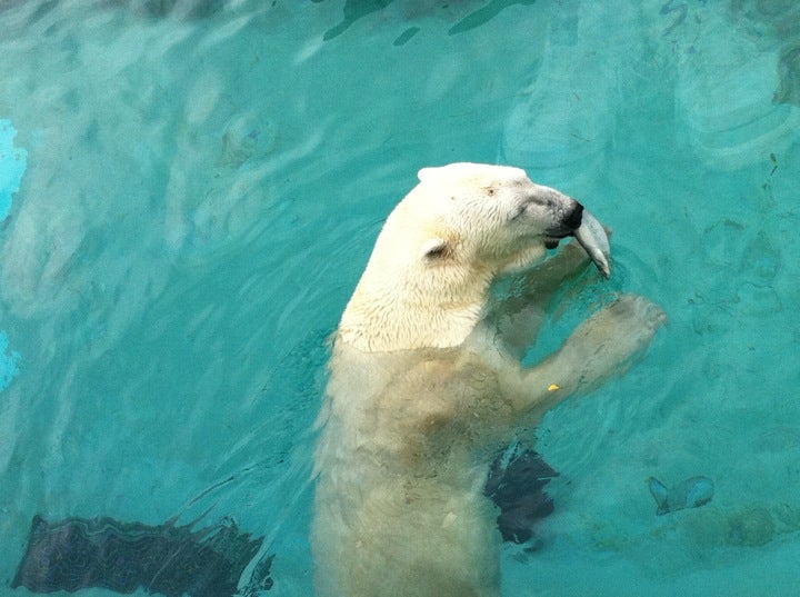 North Carolina Zoological Park, 4401 Zoo Pkwy, Asheboro, North Carolina ...