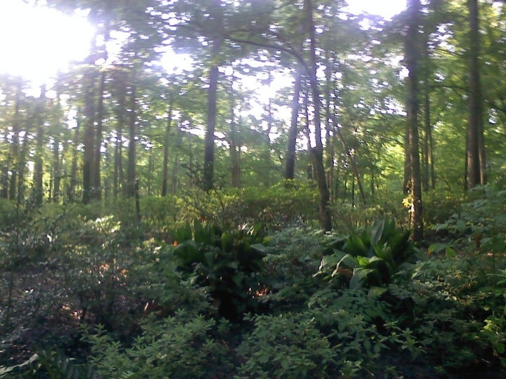 Sterlington, LA Map & Directions MapQuest