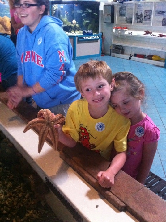 Maine State Aquarium, 194 Mckown Point Rd, Boothbay Harbor, ME