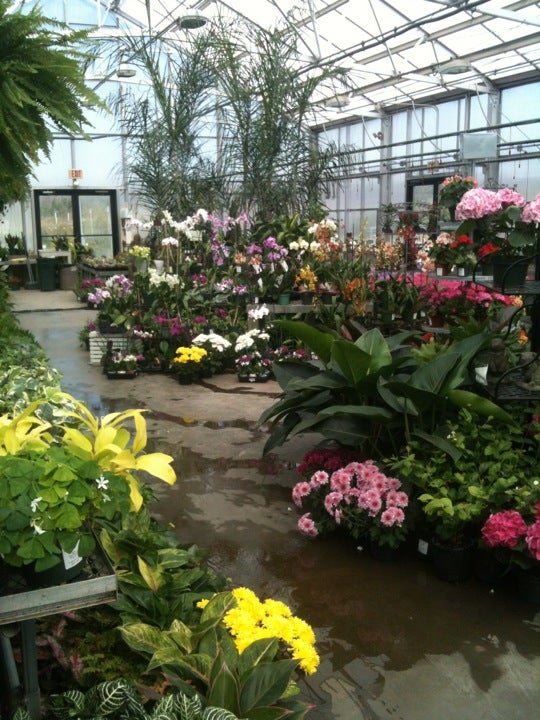 Laurel Nursery/Garden Center, 3648 Route 30, Latrobe, PA, Garden