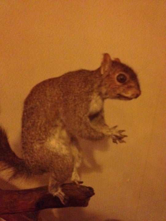 Lexington, VA Map & Directions MapQuest