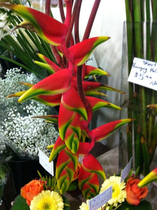 The Watering Can Flower Market
