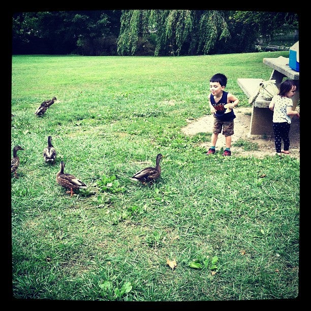 Duck Pond, Duckpond Dr, Blacksburg, VA MapQuest