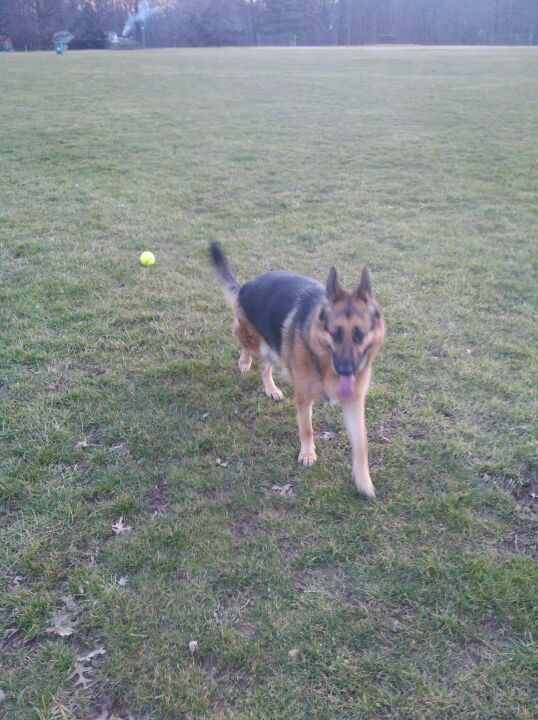 Red House Run Elementary School, 1717 Weyburn Rd, Rosedale, MD, Schools