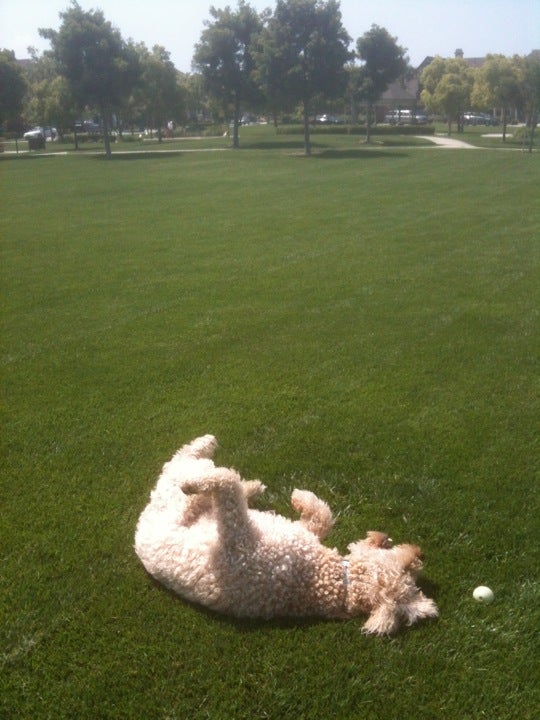 Ladera Ranch, CA Map & Directions MapQuest