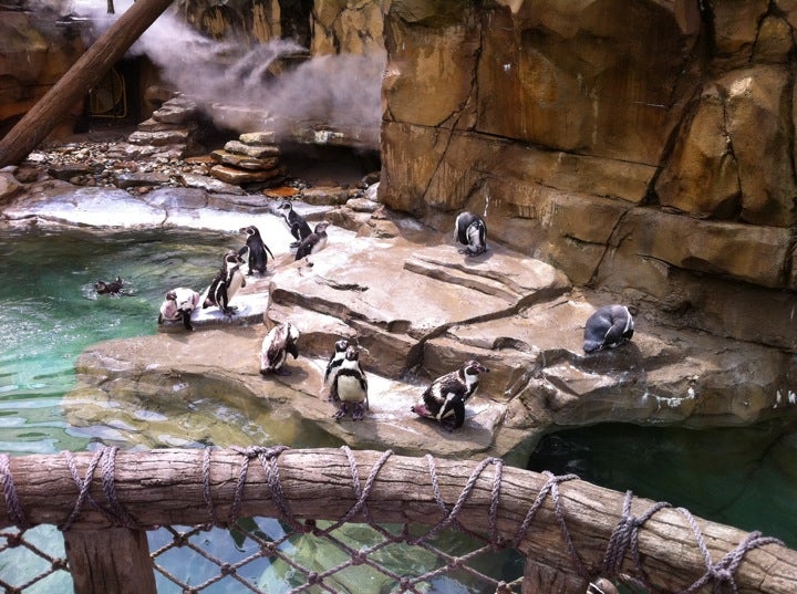 Akron Zoo, 500 Edgewood Ave, Akron, OH, Zoological garden