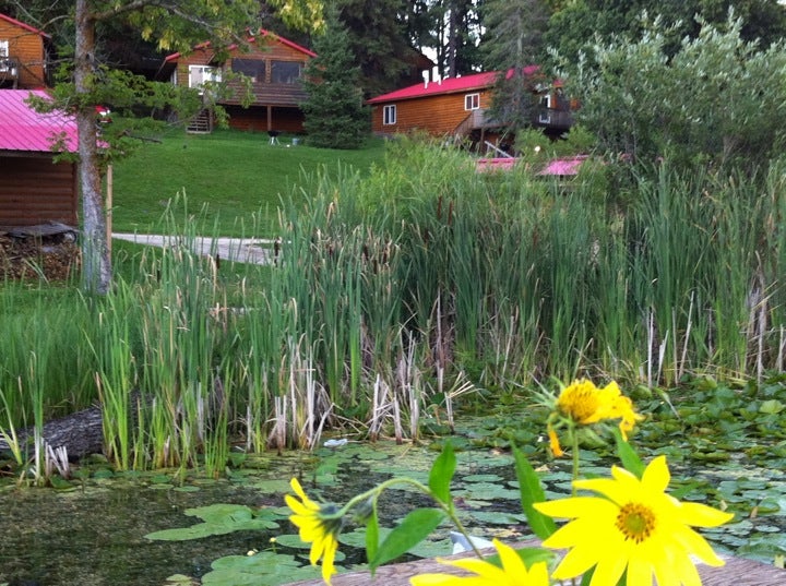 Turtle Lake Beach, 52001 County Road 284, Bigfork, MN MapQuest