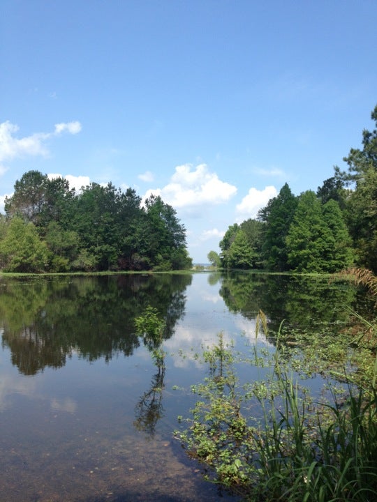 Lake Moultrie, Moncks Corner, SC, Lake - MapQuest