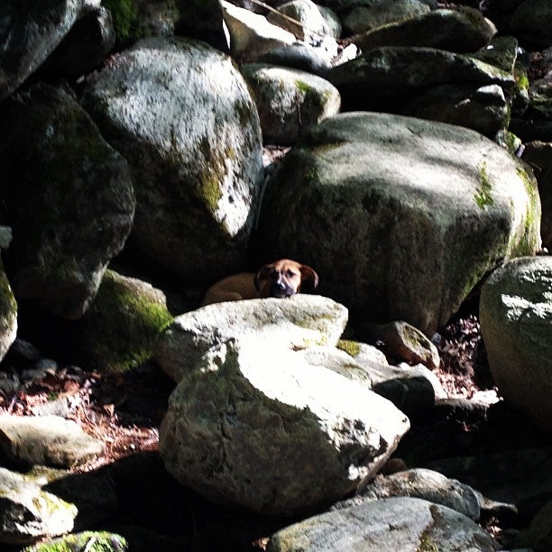 Jamaica, VT Map & Directions MapQuest