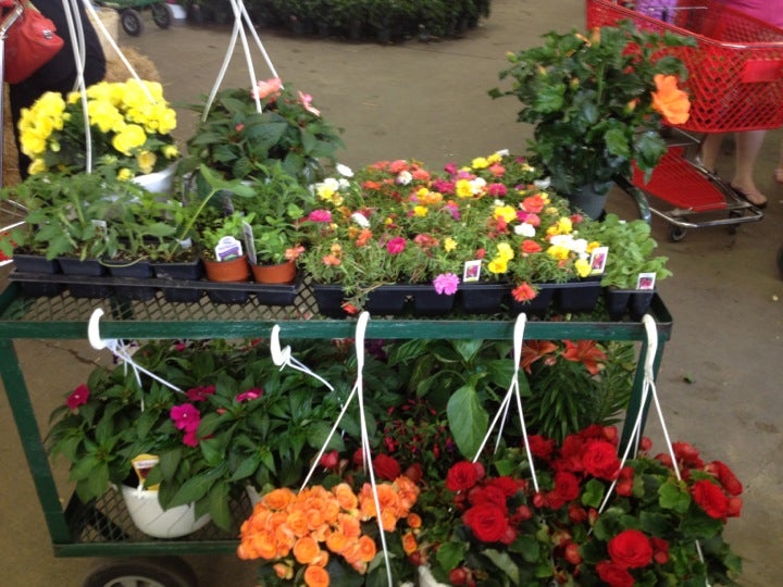 Block's Stand & Greenhouse, 29160 Eureka Rd, Romulus, MI, Grocers Health Foods MapQuest