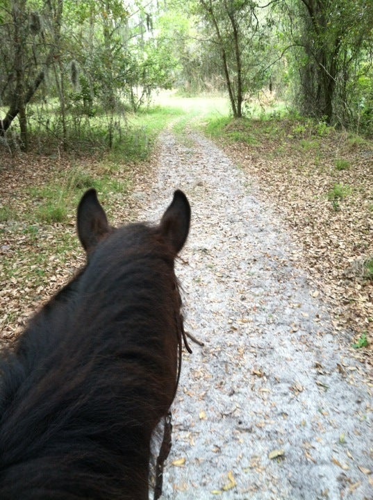 The Grove at Lake Park, Lutz, FL MapQuest