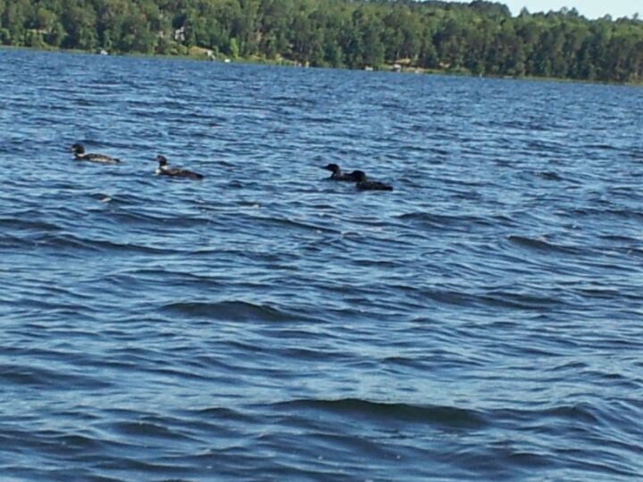 Bass Lake, Cohasset, MN, Lake MapQuest