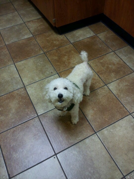 Banfield Pet Hospital, 206 S Sharon Amity Rd, Charlotte, NC