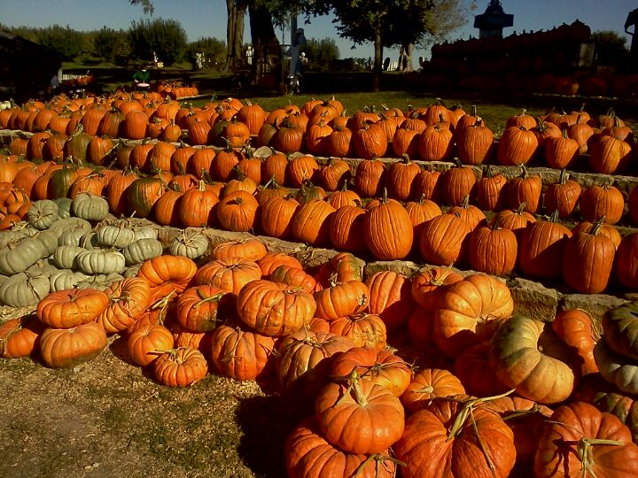 Weston Red Barn Farm, 16300 Wilkerson Rd, Weston, MO, Retail Shops MapQuest